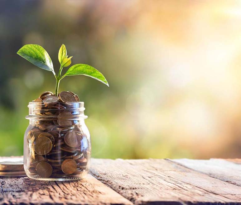 Glass jar of coins with a green seedling growing out of it